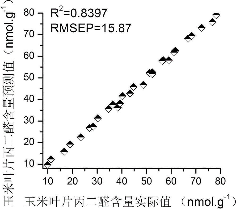 Detecting device and method for malondialdehyde content of field maize plant leaves