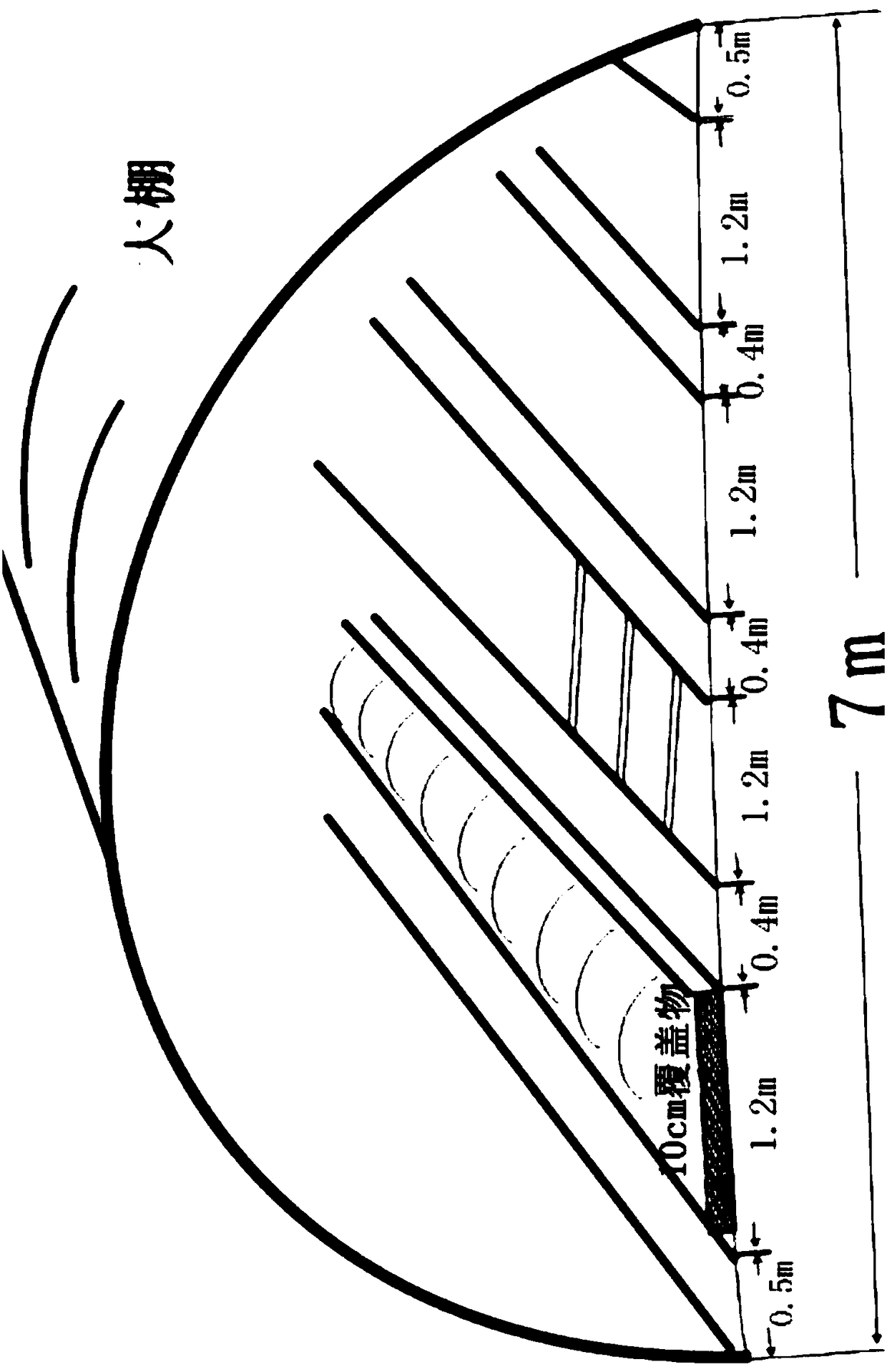 Layering premature seedling culture method for sweet potato vines