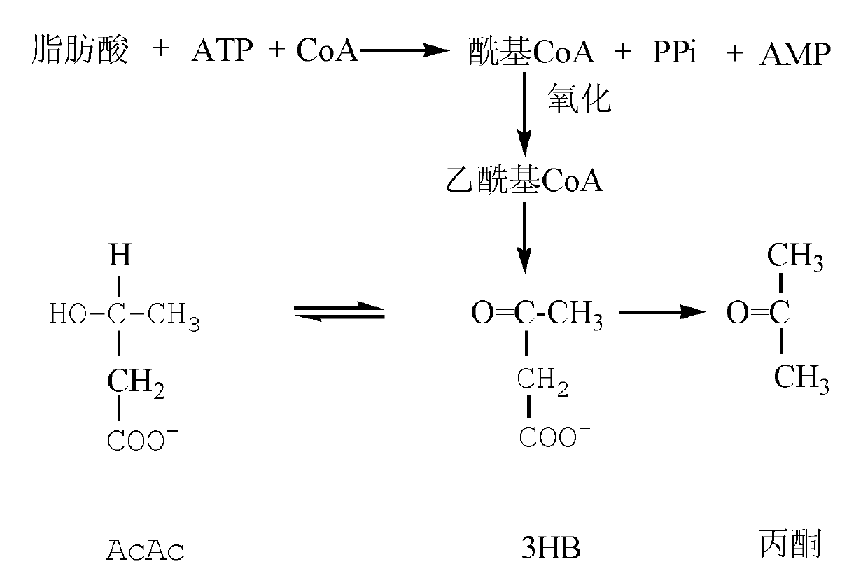 Method for measuring acetone in respiratory gas and implementation device thereof