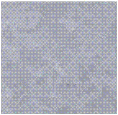 Texturing method of diamond wire slice polycrystalline black silicon