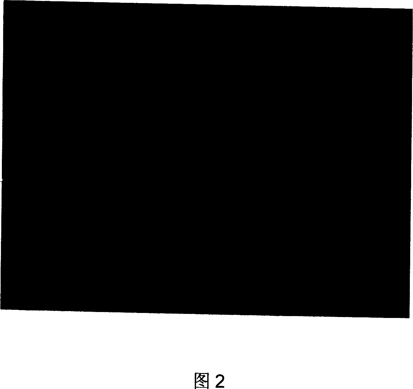 Biological functional fluorescence magnetic particle and its preparing method and application