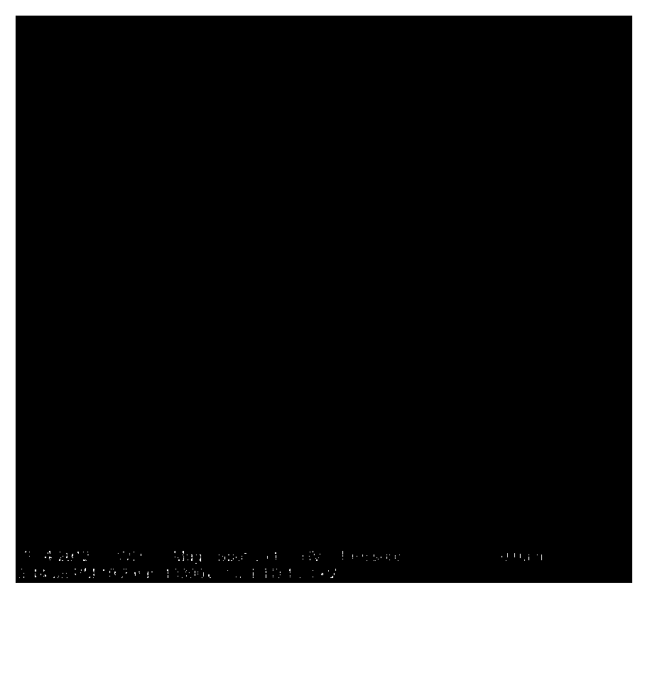 Solid oxide fuel cell composite electrolyte film and preparation thereof