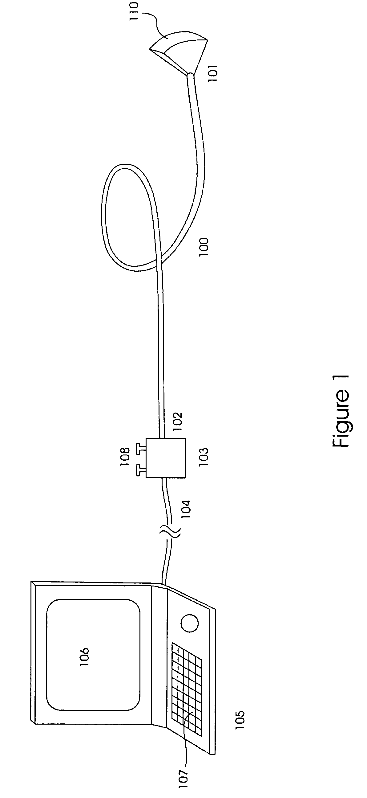 Extended, ultrasound real time 3D image probe for insertion into the body