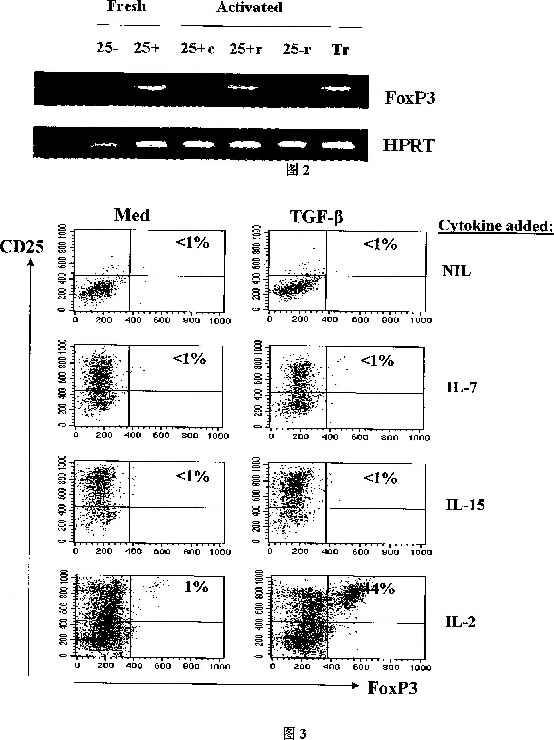 TGF-beta induced adjustment T cell and its forming method and application