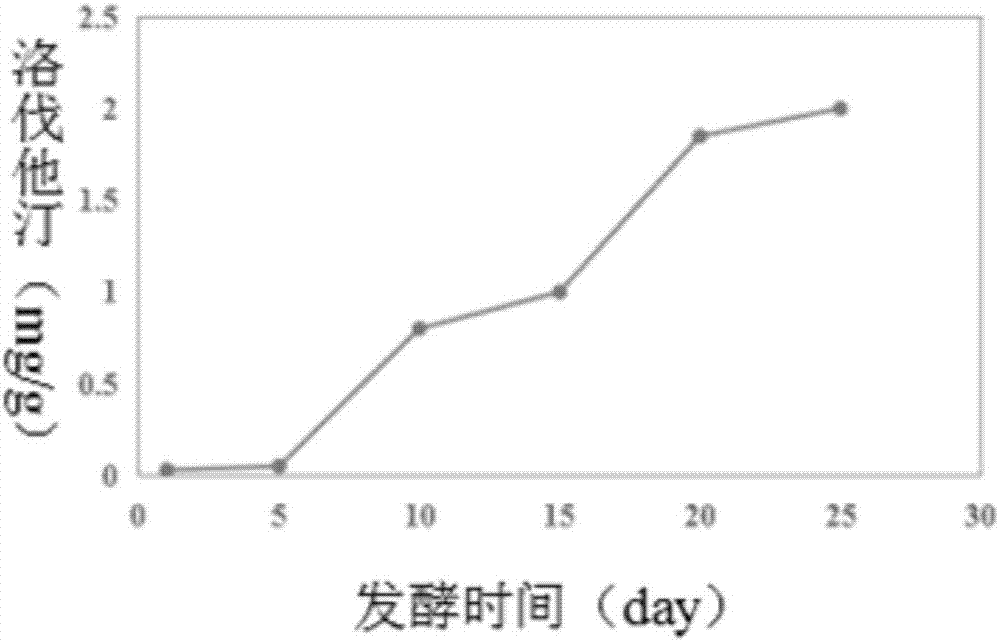 Highland barley functional red yeast rice health-preserving tea and preparation method thereof