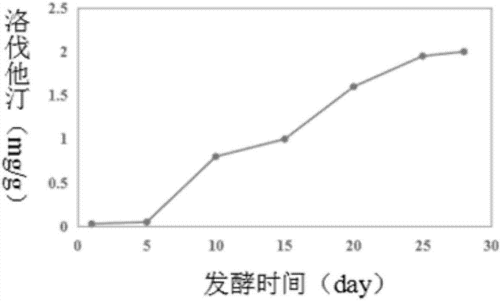 Highland barley functional red yeast rice health-preserving tea and preparation method thereof