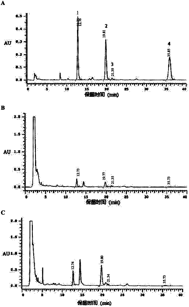 Method of increasing content of tanshinone in hairy roots of salvia miltiorrhiza bunge through cotransformation of SmHMGR and SmDXR double genes