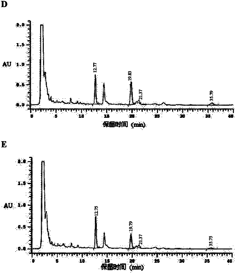 Method of increasing content of tanshinone in hairy roots of salvia miltiorrhiza bunge through cotransformation of SmHMGR and SmDXR double genes