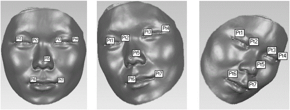 Acquiring method and detecting method of live face head pose detection regression apparatus