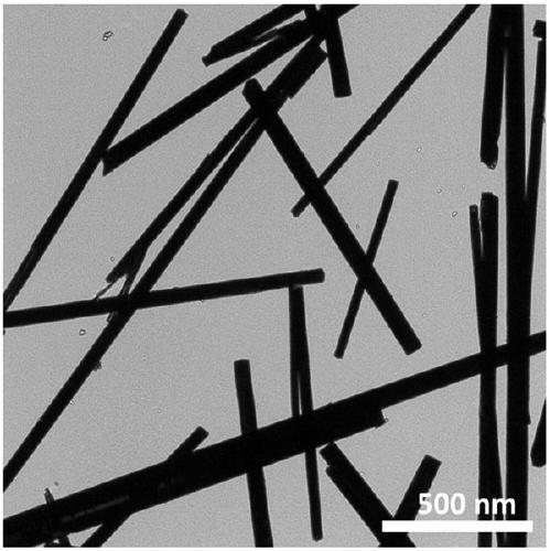 Preparation method and application of tungsten trioxide@molybdenum disulfide hollow tube composite catalyst