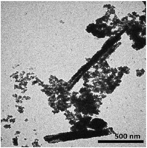 Preparation method and application of tungsten trioxide@molybdenum disulfide hollow tube composite catalyst