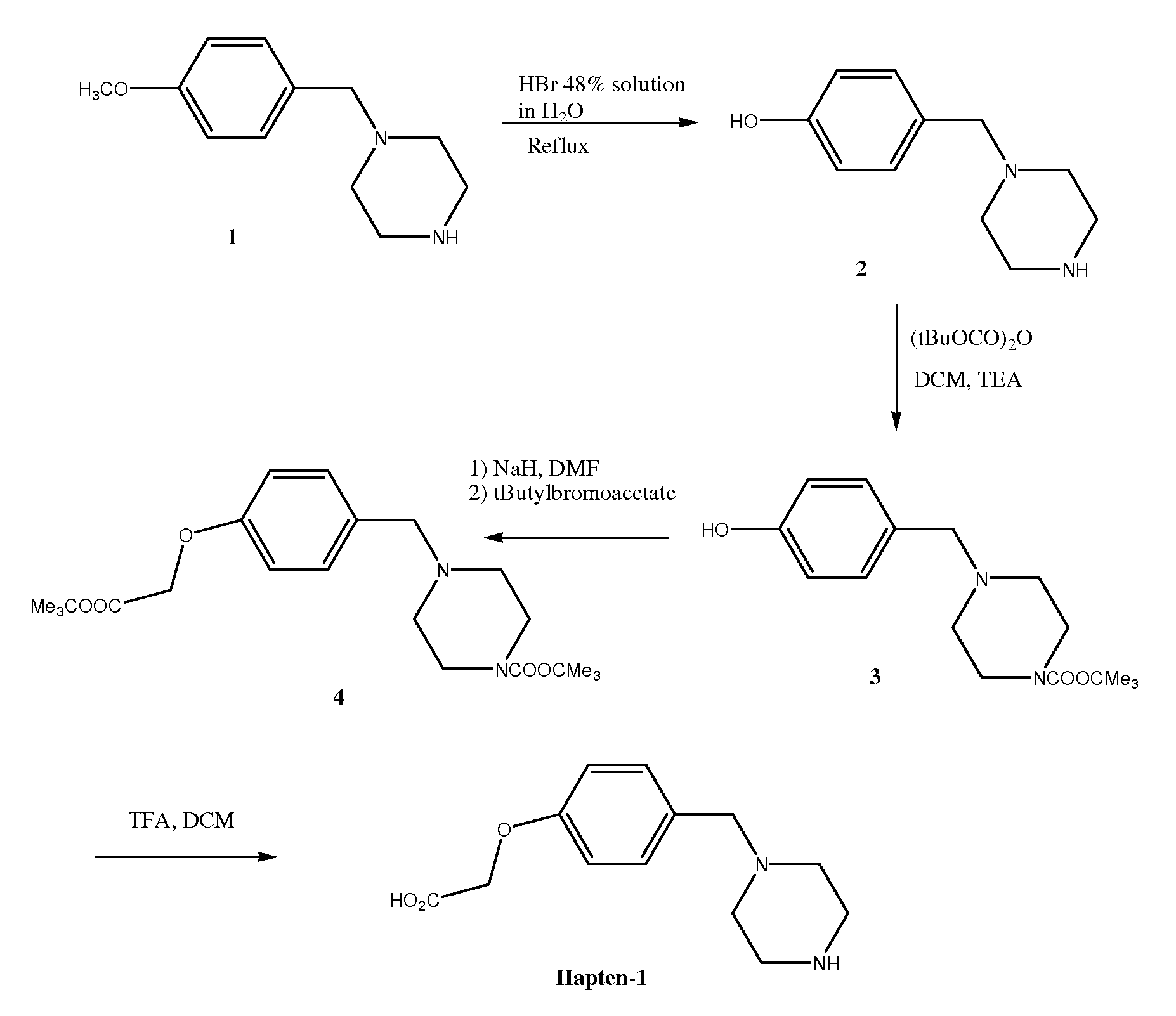 Assay for benzylpiperazine and metabolites