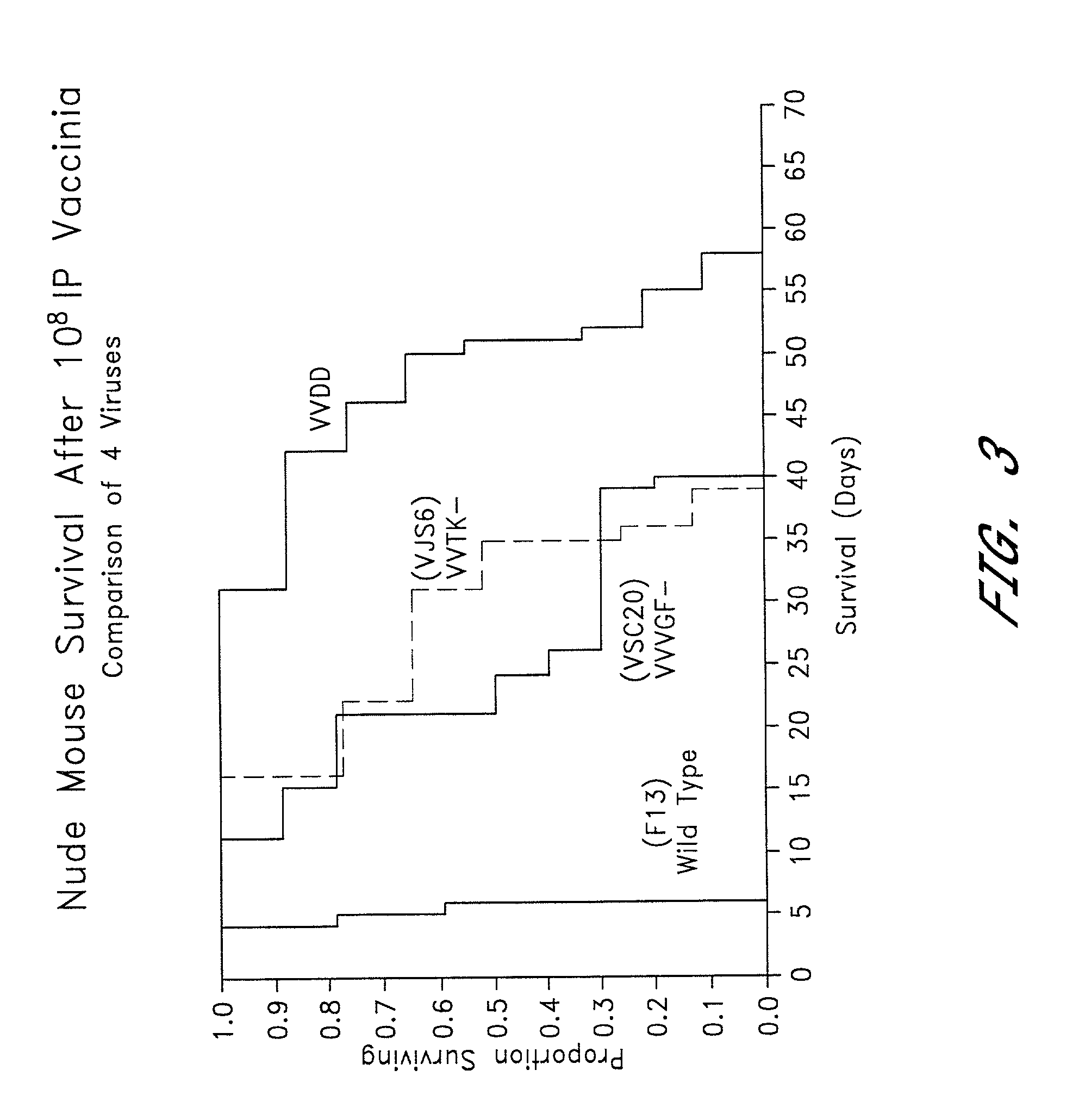 Combined growth factor-deleted and thymidine kinase-deleted vaccinia virus vector