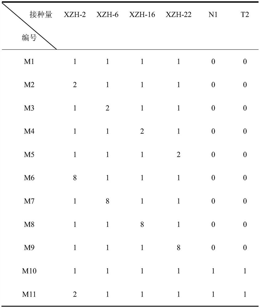 Preparation method of penicillium group compounded cellulose synergistic degradation compound enzyme