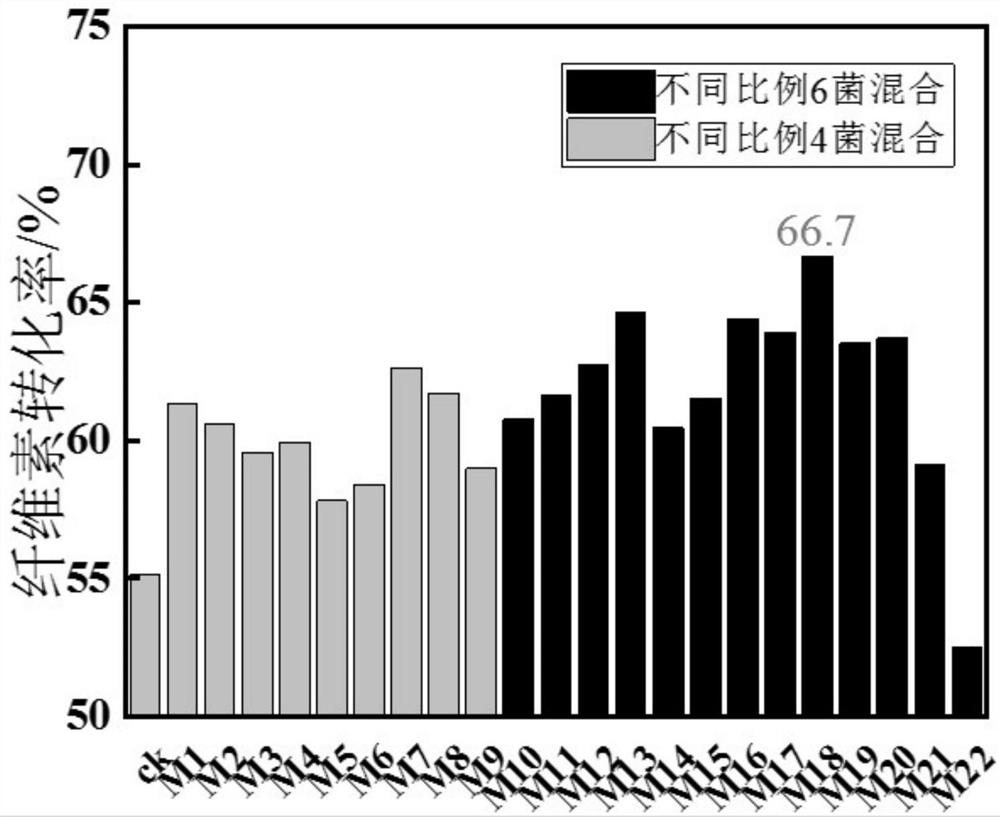 Preparation method of penicillium group compounded cellulose synergistic degradation compound enzyme