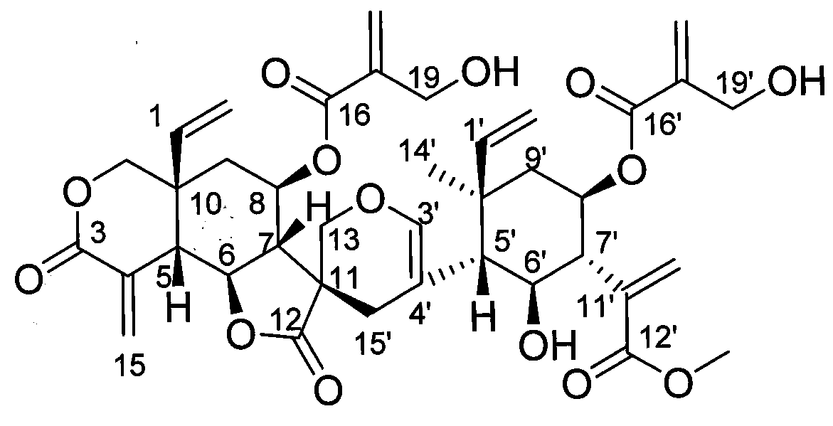 Sesquiterpene dimer compounds in insect-repelling vernonia and its preparation method and use