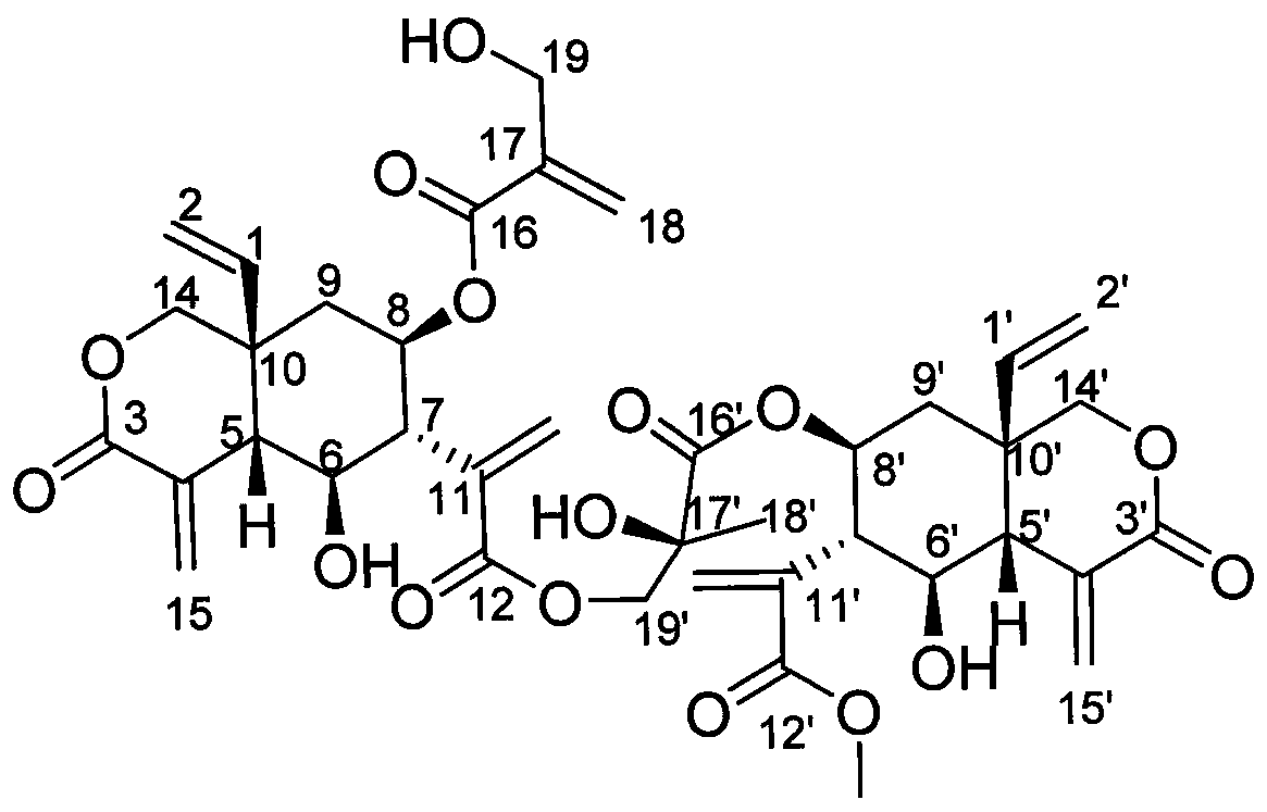 Sesquiterpene dimer compounds in insect-repelling vernonia and its preparation method and use