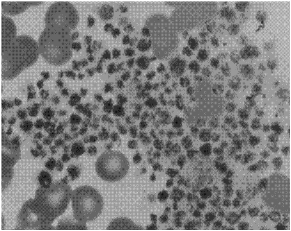 Method for pre-diluting vacuum blood collection tube and for measuring platelet number