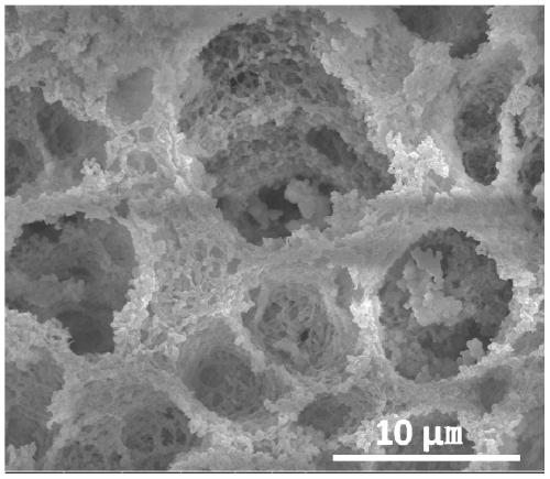 A preparation method and application of carbon-coated cobalt sulfide/cobalt octasulfide nine-cobalt nanoparticles with multi-level hole structure