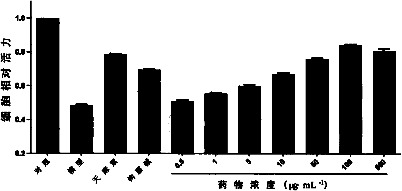 Protection and action mechanisms of combination of gastrodin and rhynchophylla to vascular endothelial cells