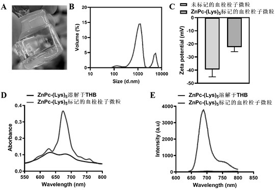 Method for realizing pulmonary embolism modeling and non-invasive quantitative detection by labeling thrombus through near-infrared fluorescent probe