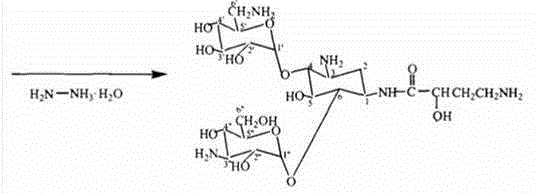 Preparation method of amikacin