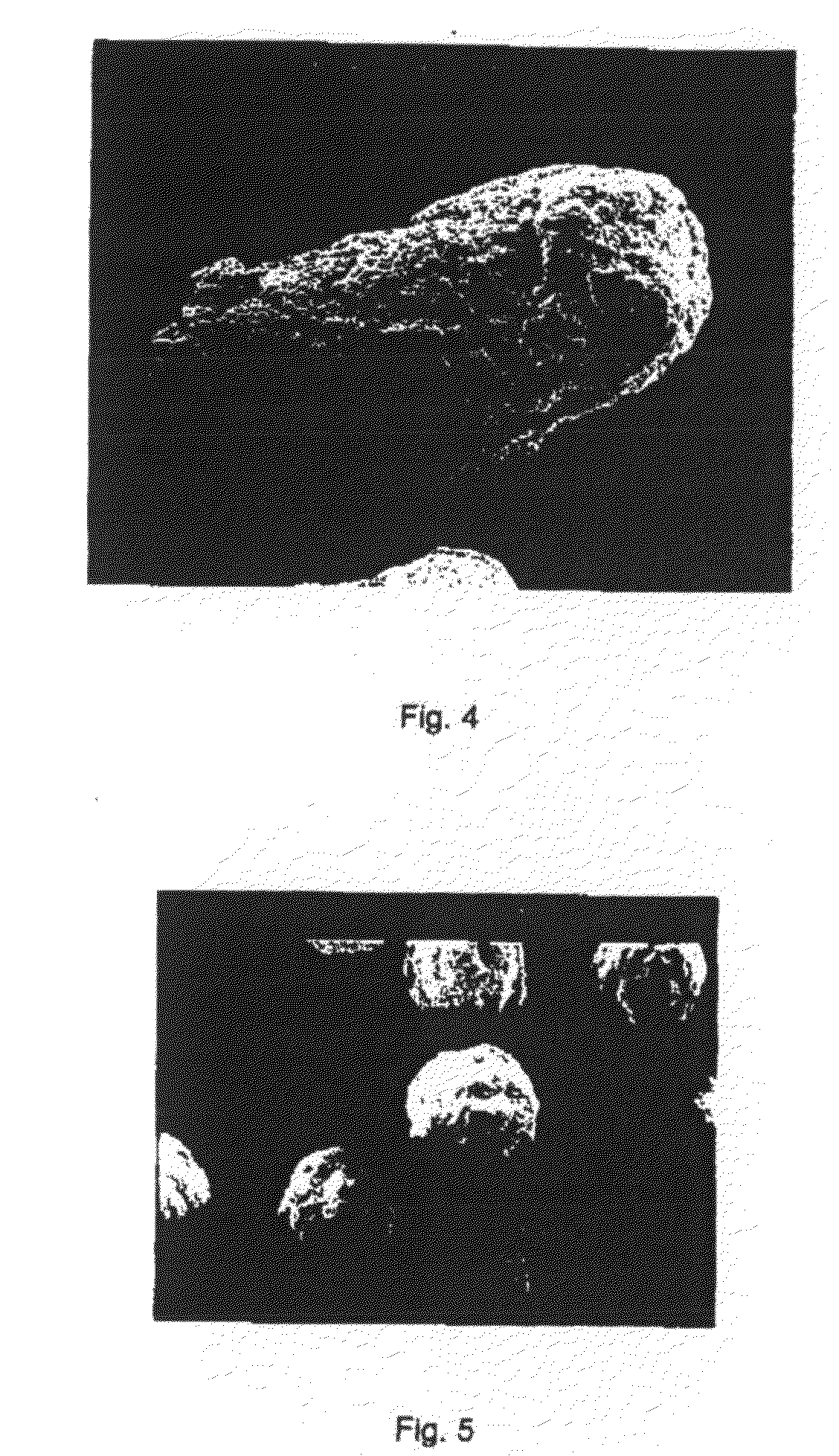 Oral Preparation With Controlled Release