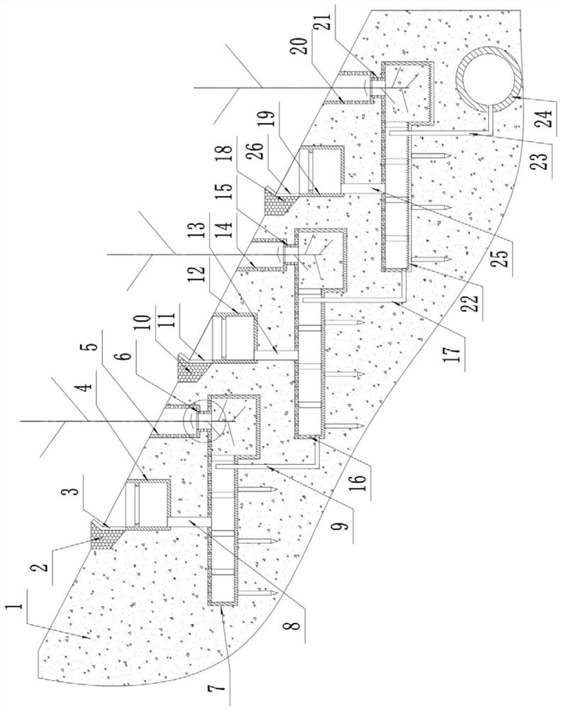 Vegetation revetment water and soil conservation device