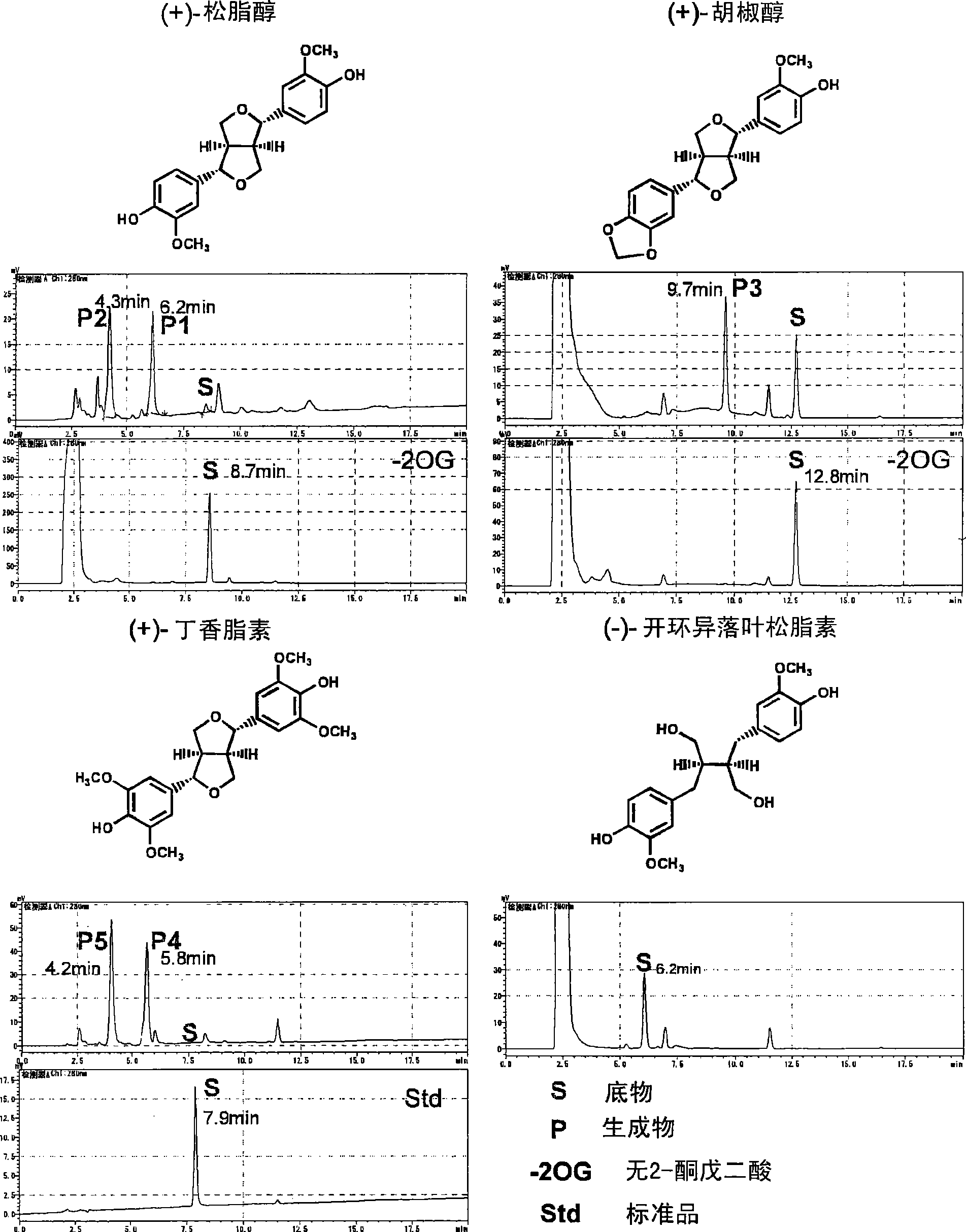 Lignans hydroxylase