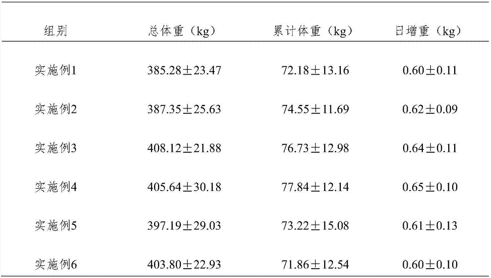 Special feed for beef cattle and preparation method of special feed for beef cattle