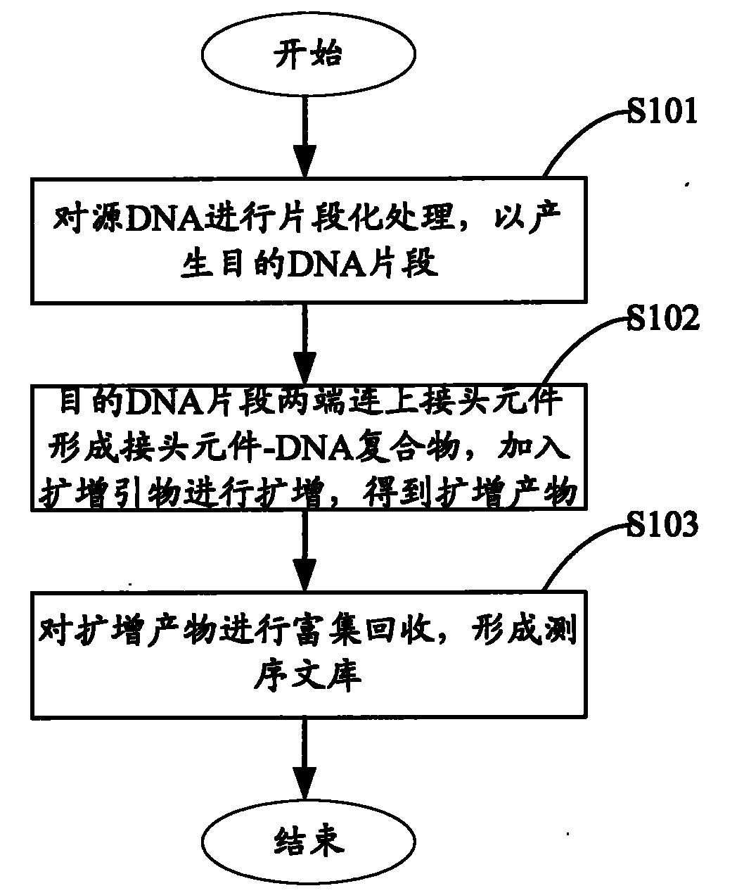 System and method for constructing sequencing library