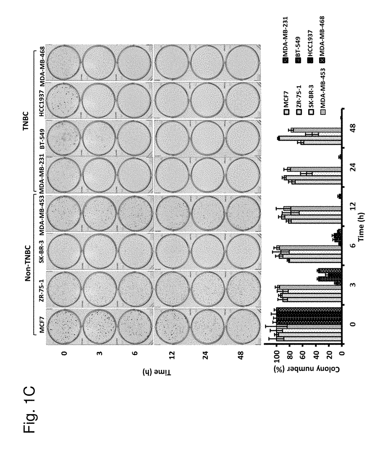 Protein kinase C inhibitor for treating triple-negative breast cancer