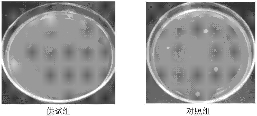 Blumea balsamifera gynecological washing lotion, and preparation method and applications thereof