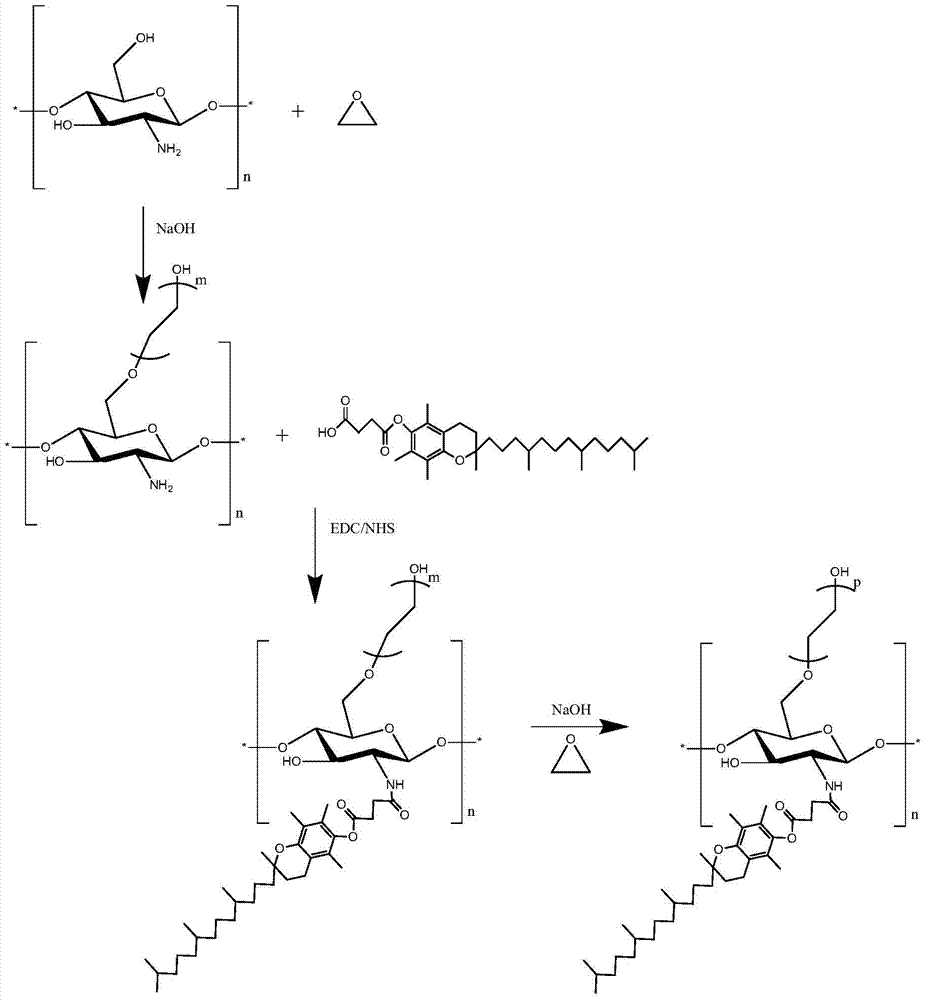 A kind of water-soluble o-hydroxyethyl chitosan nanoparticles and its preparation method and application