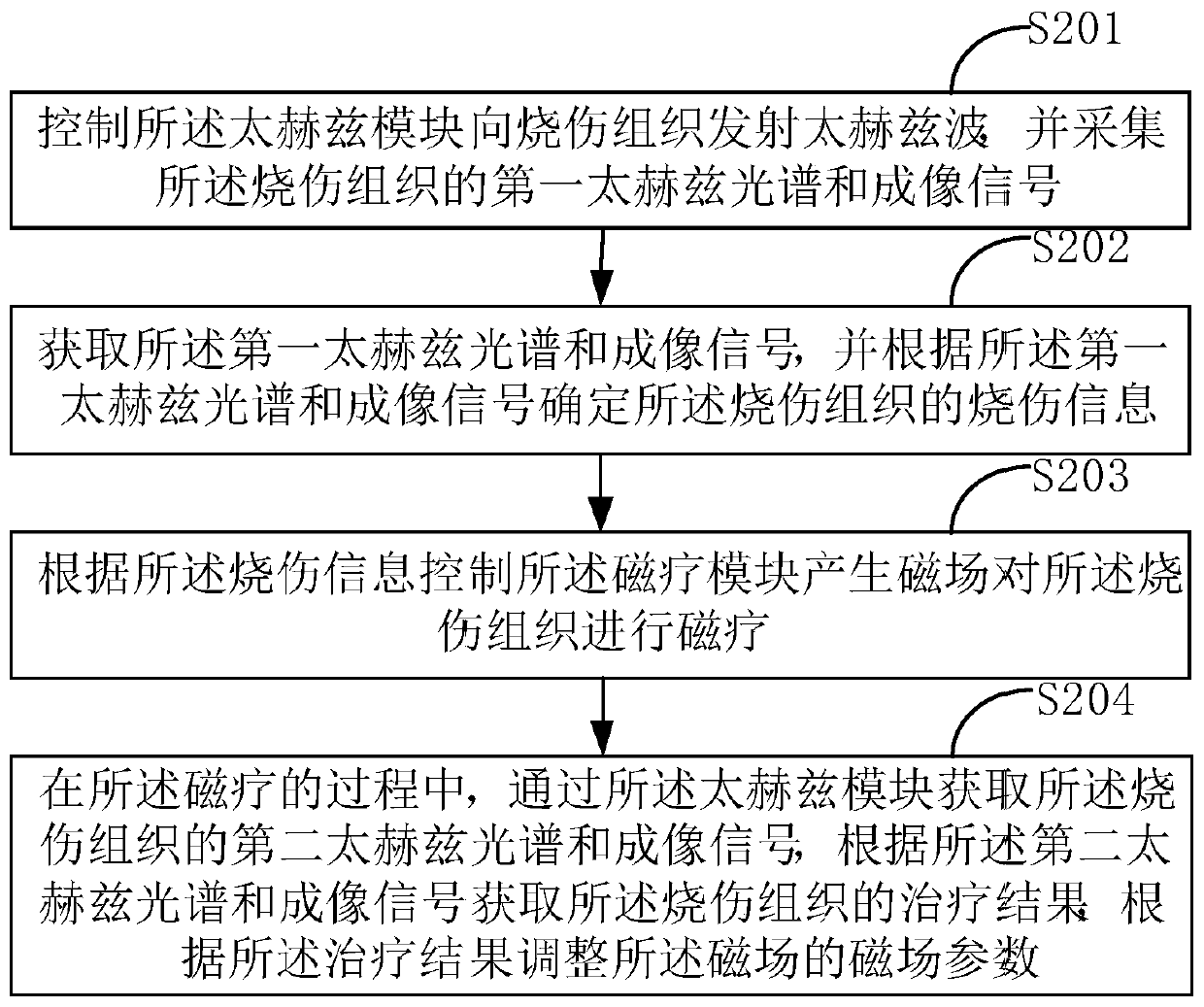 Burnt tissue diagnosing and treating system