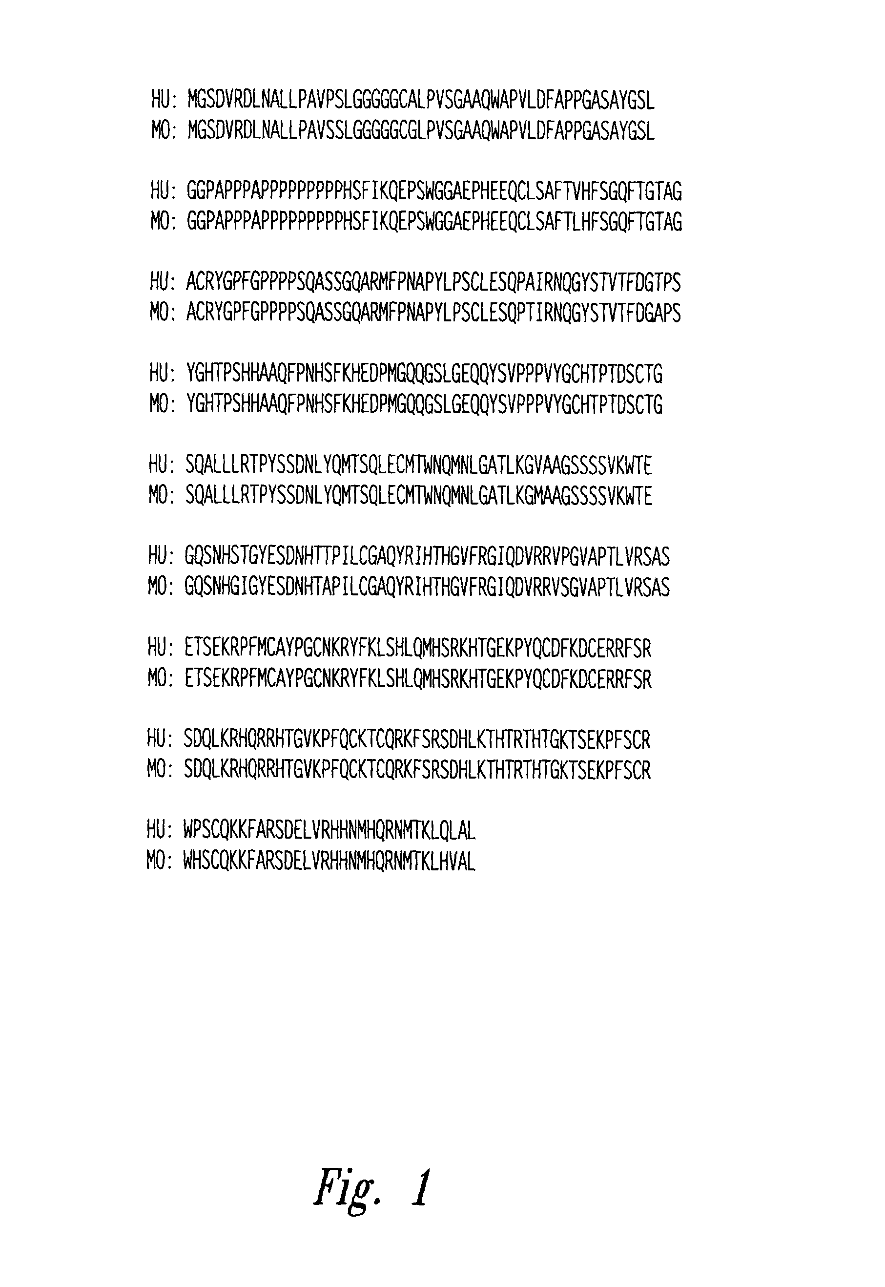 Compositions and methods for WT1 specific immunotherapy