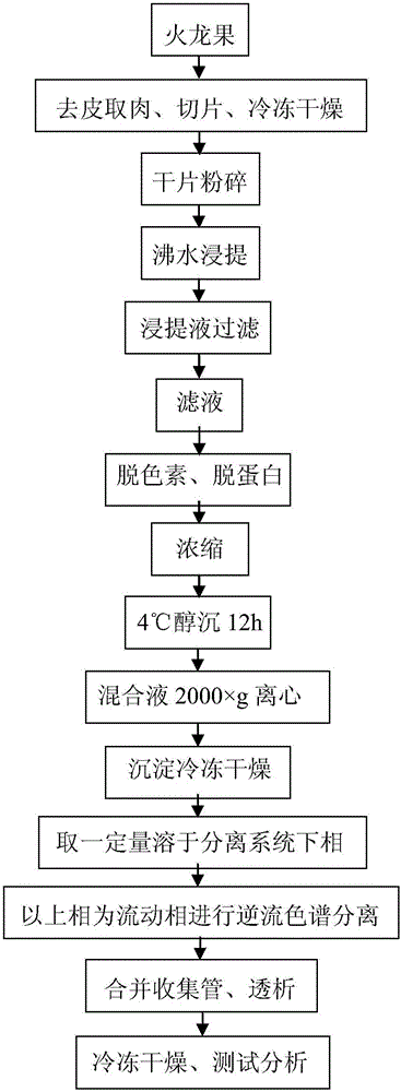 Method for fast separating polysaccharides from dragon fruit by counter-current chromatography