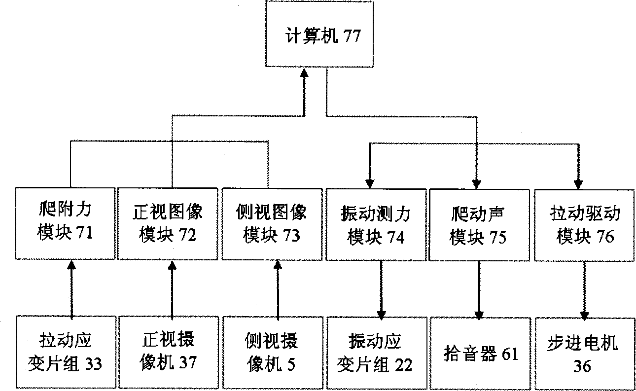 Device for measuring walking and creeping characteristics of insect on three planes