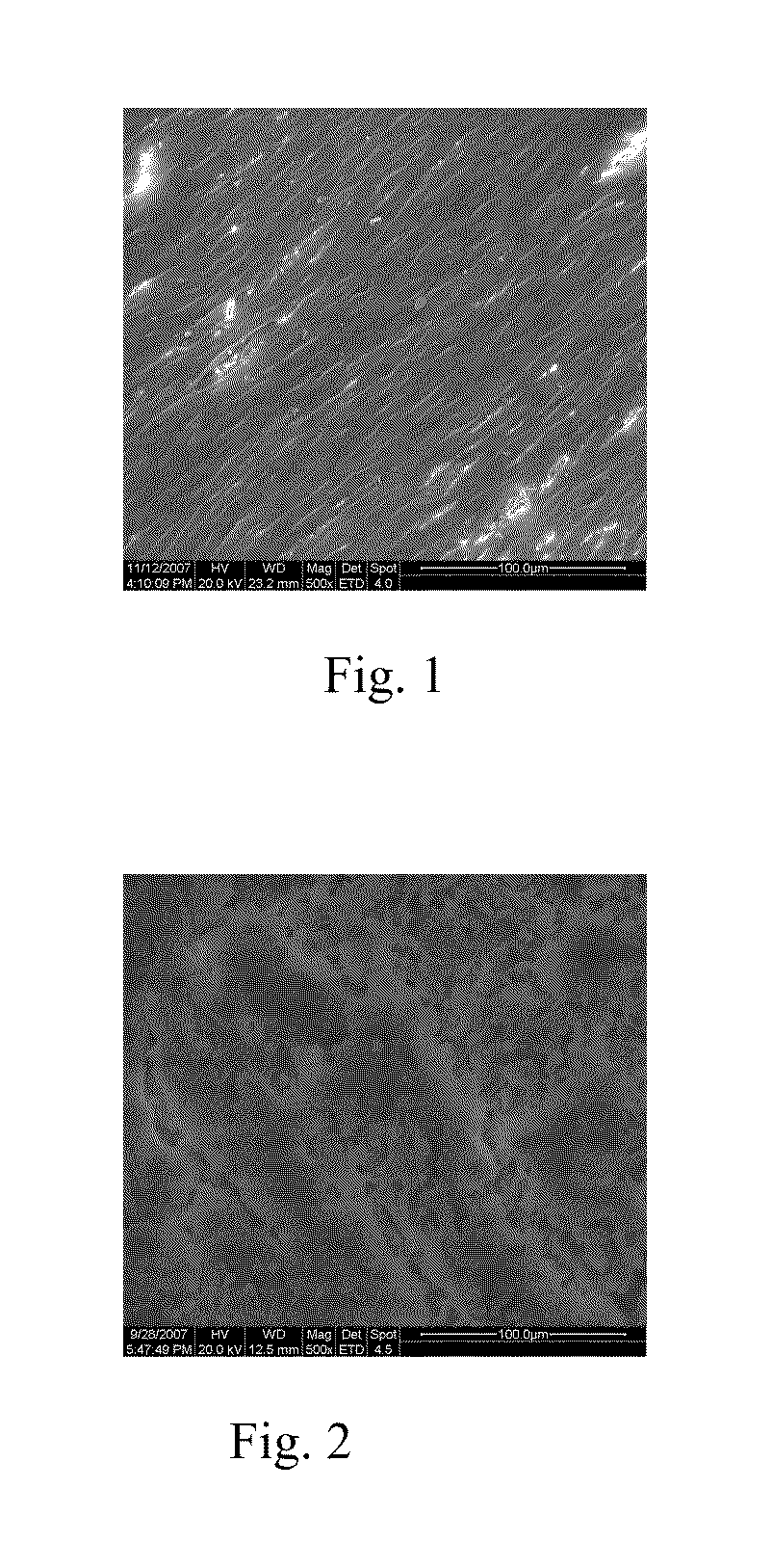 Biodegradable stent