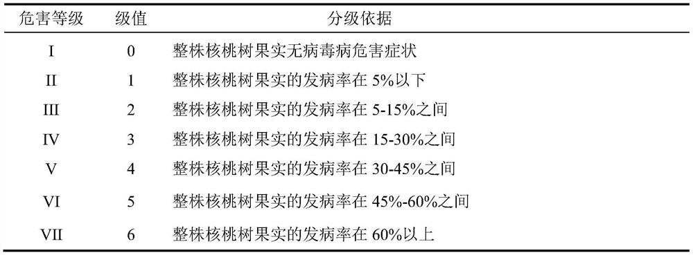 A kind of method for preventing and treating walnut virus disease