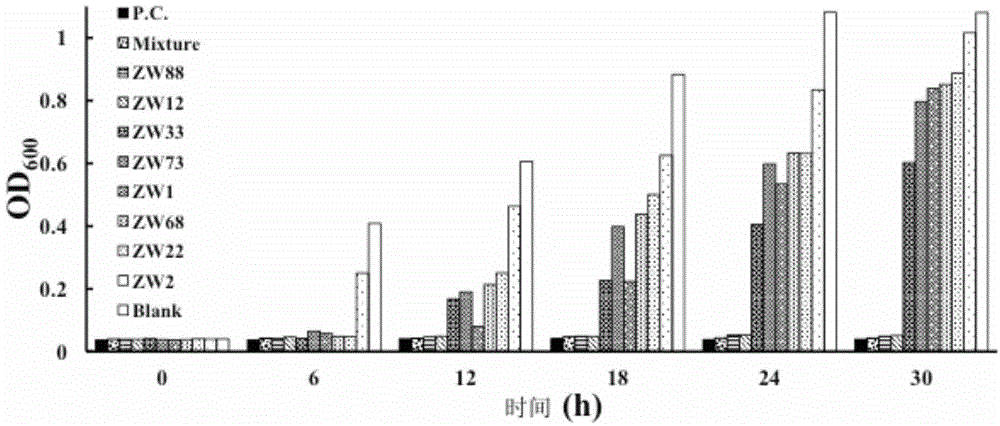 Bovine-derived anti-staphylococcus aureus genetic engineering single-chain antibody, preparation method and application thereof