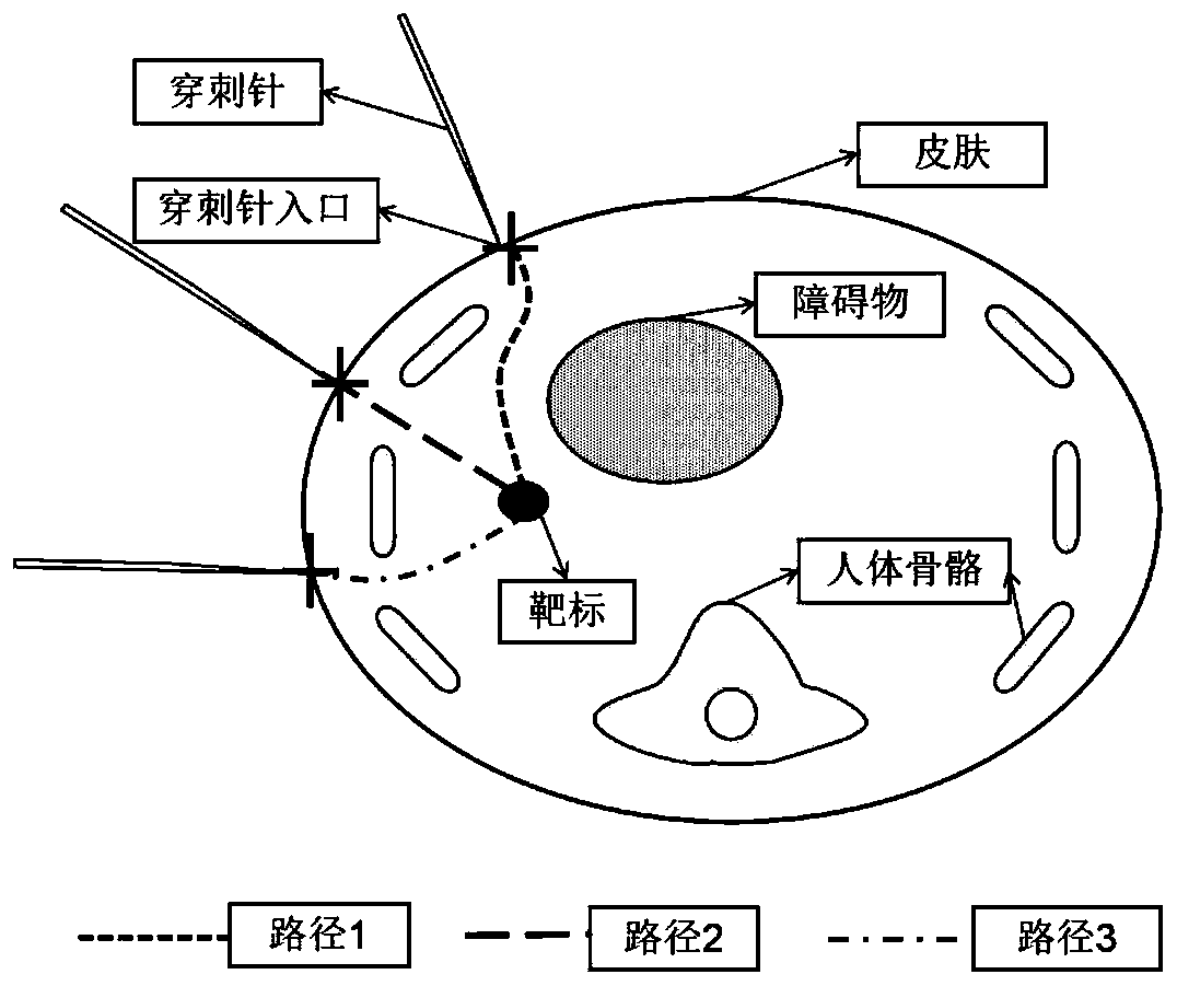 Puncture robot flexible needle motion path planning device and method based on wolf group algorithm