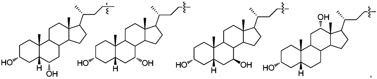 Long-acting Rasagiline prodrug as well as preparation method and application thereof