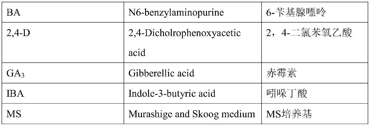 Rapid propagation method of tissue culture of female and male plants of Zhejiang hemsleya amabilis