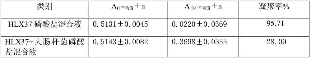 Blueberry composite powder high in anthocyanin content and preparing method thereof