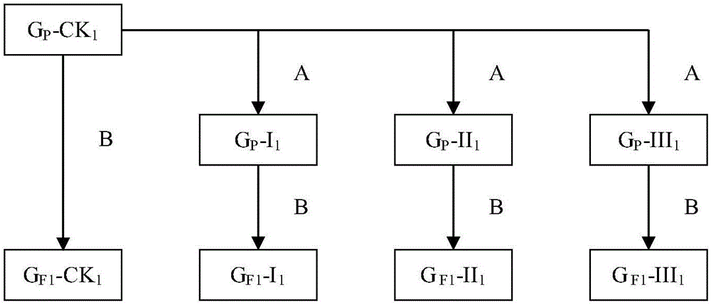 Reproduction updating method for soybean heredity integrity analysis