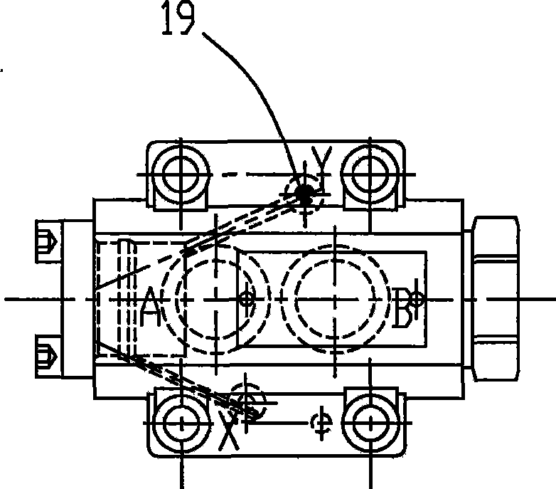 Liquid-controlled non-return valve