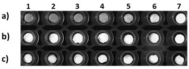 A paper-based visual detection method for nucleic acid amplification for non-diagnostic purposes