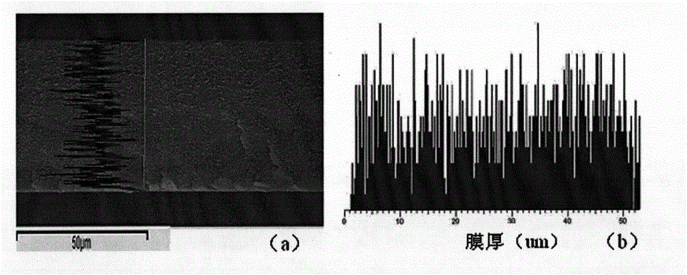 Proton exchange membrane and preparation method thereof