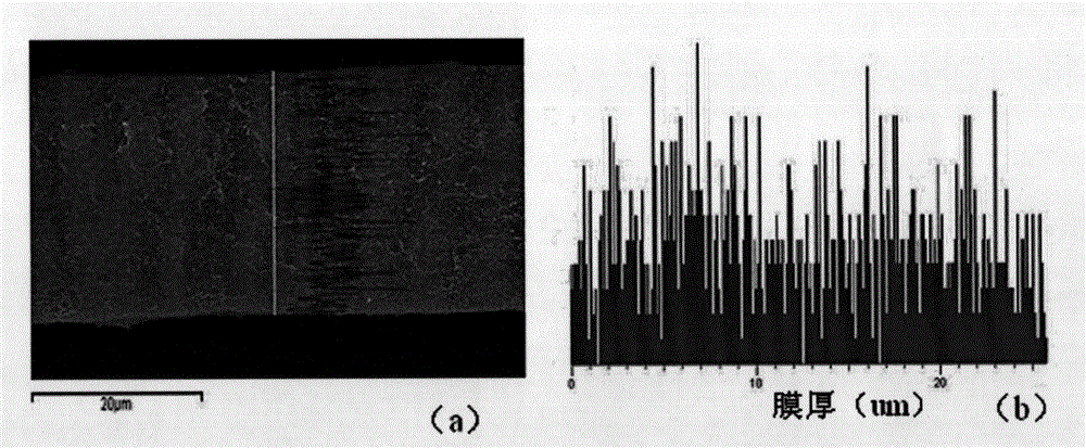 Proton exchange membrane and preparation method thereof